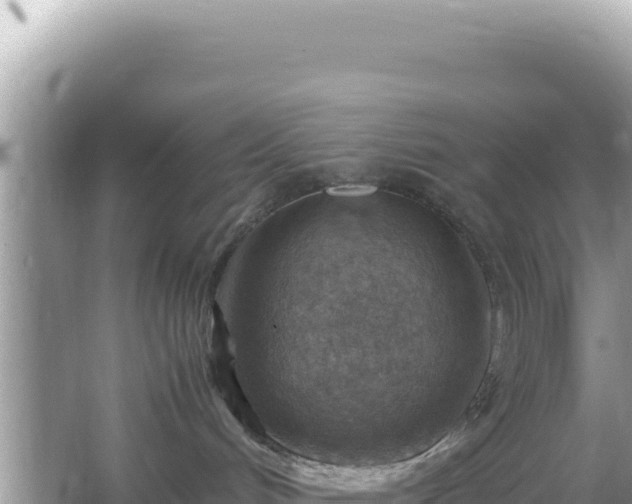 X0000066020048200603101634