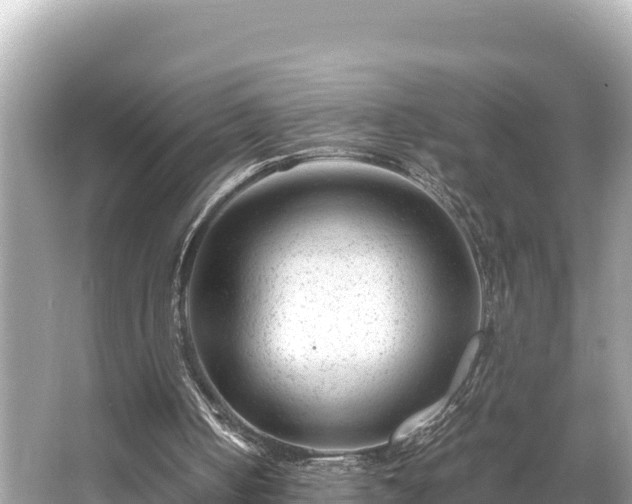 X0000066020050200603101633