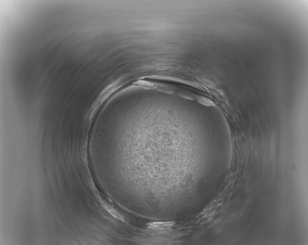 X0000066020051200603101633