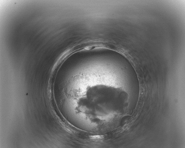 X0000066020053200603101633