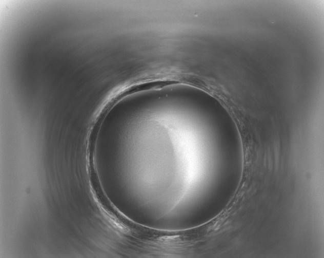 X0000066020054200603101633