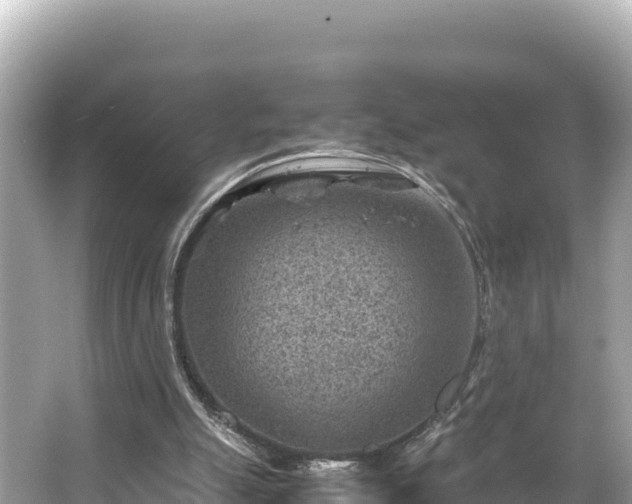 X0000066020055200603101633