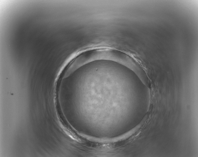 X0000066020056200603101633