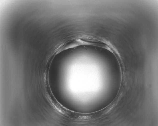 X0000066020057200603101633