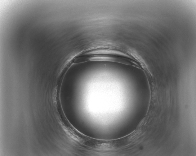 X0000066020058200603101633