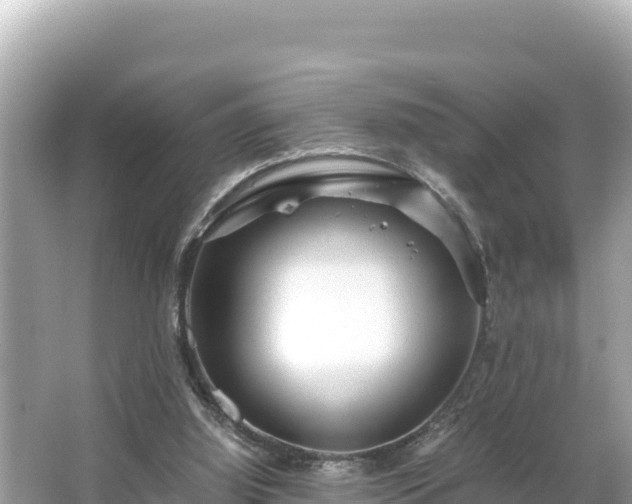 X0000066020060200603101633