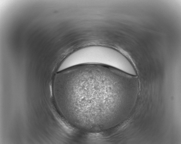 X0000066020061200603101633