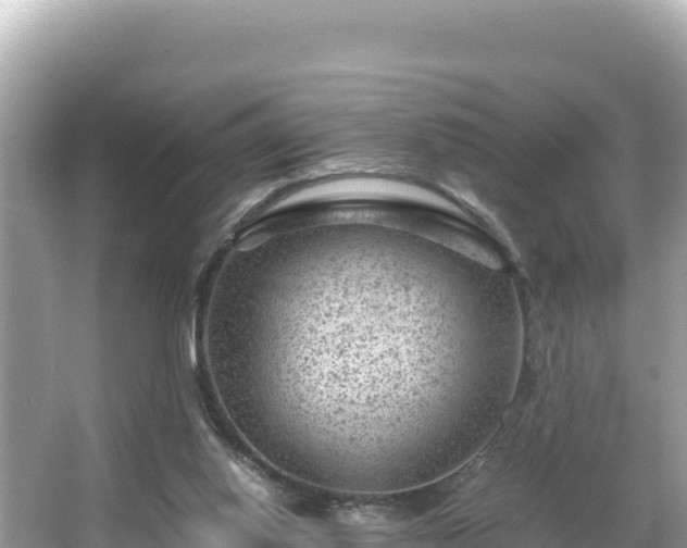 X0000066020062200603101633