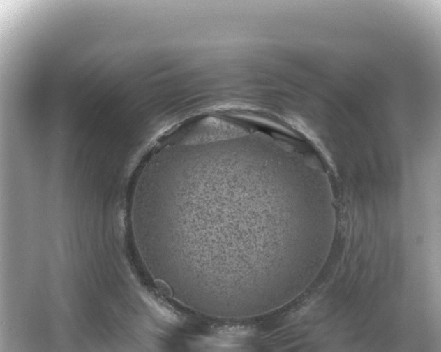 X0000066020063200603101633