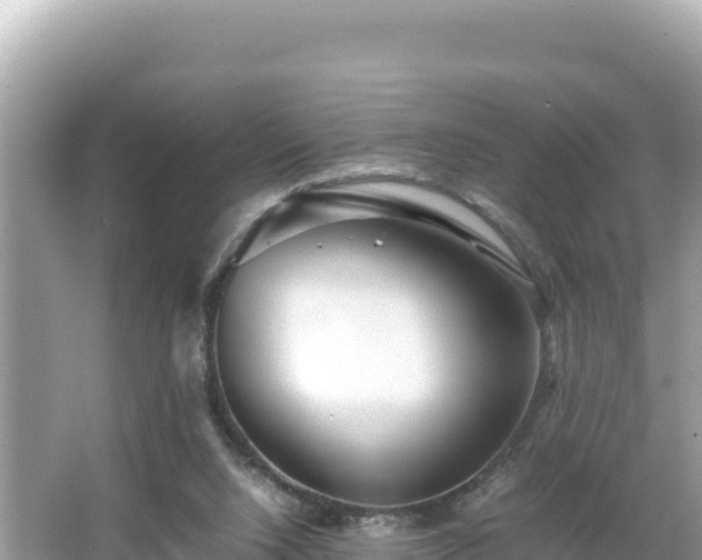 X0000066020064200603101633