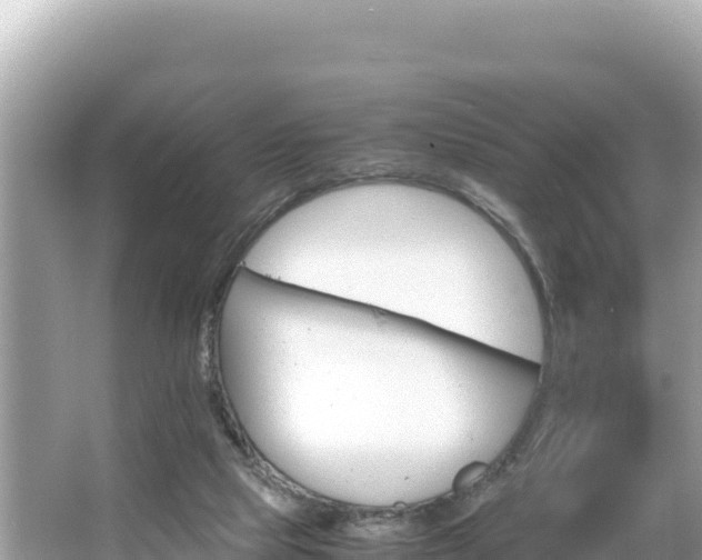 X0000066020065200603101633