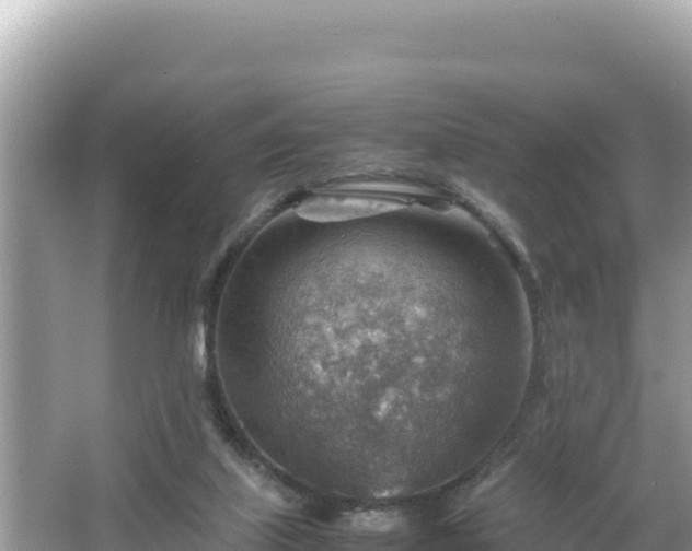 X0000066020067200603101633