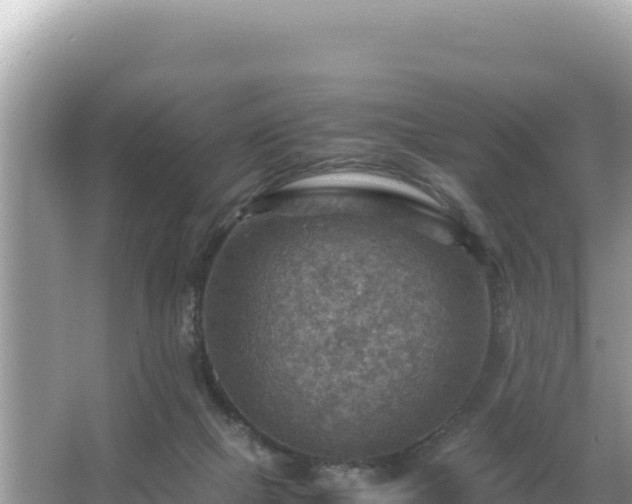 X0000066020073200603101633