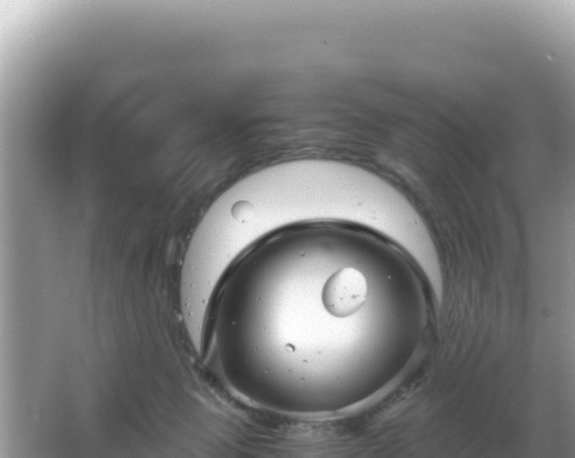 X0000066020077200603101634