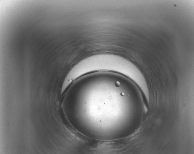 X0000066020078200603101634