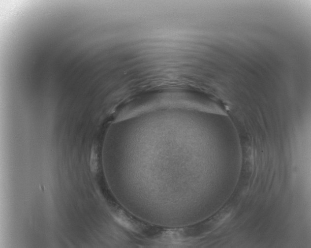 X0000066020080200603101634