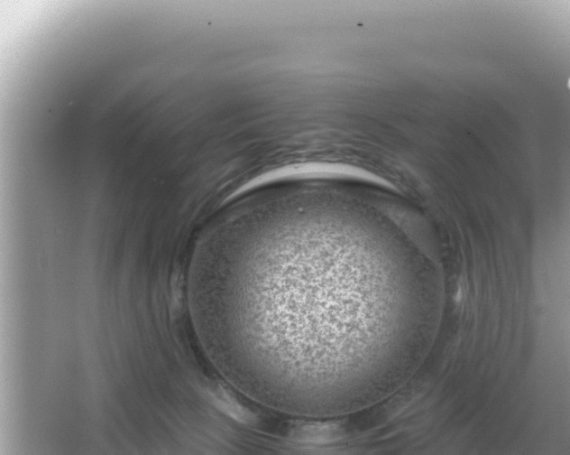 X0000066020081200603101634