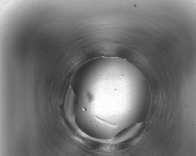 X0000066020084200603101634