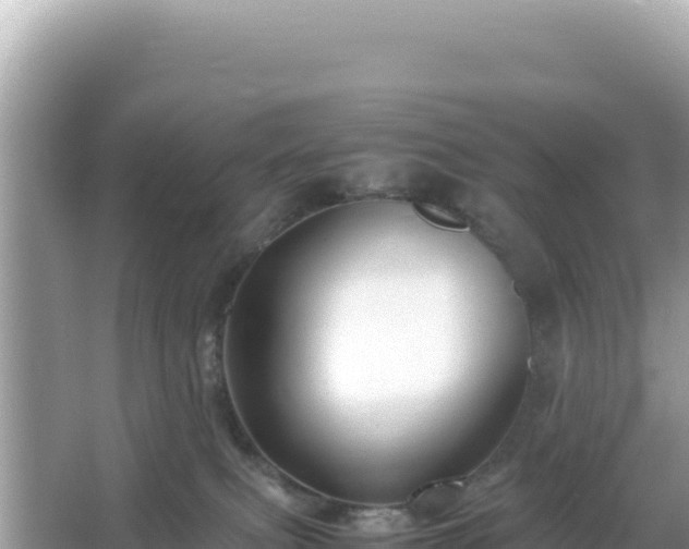 X0000066020087200603101634