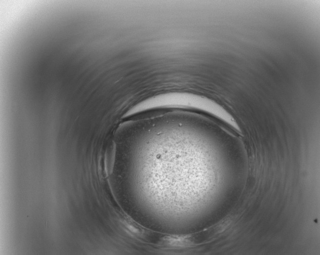 X0000066020093200603101634