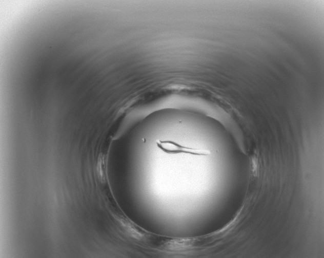 X0000066020094200603101634