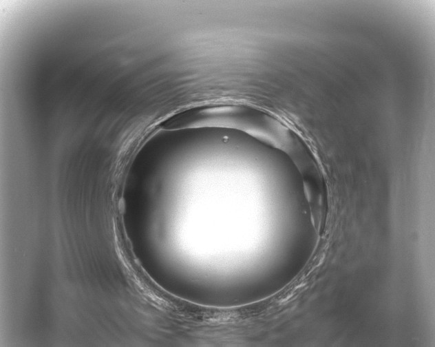 X0000066020097200603101633