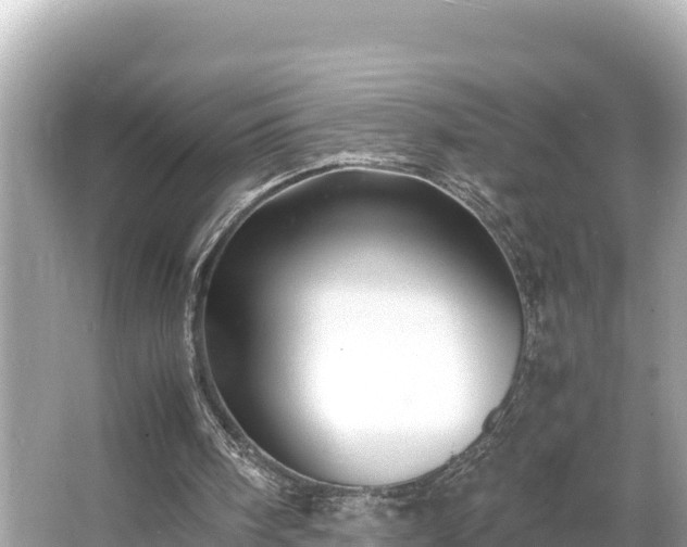 X0000066020098200603101633