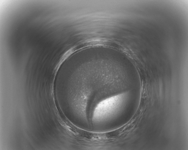 X0000066020099200603101633