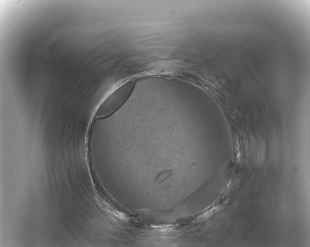 X0000066020100200603101633