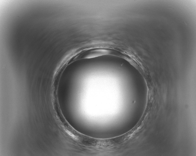 X0000066020101200603101633