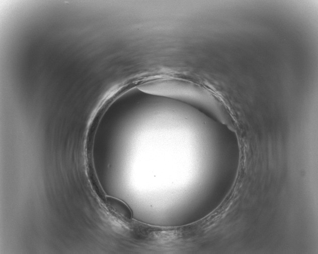 X0000066020102200603101633