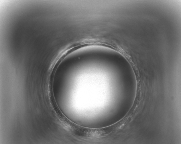 X0000066020103200603101633