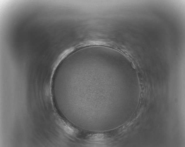 X0000066020104200603101633