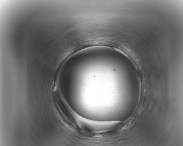 X0000066020105200603101633