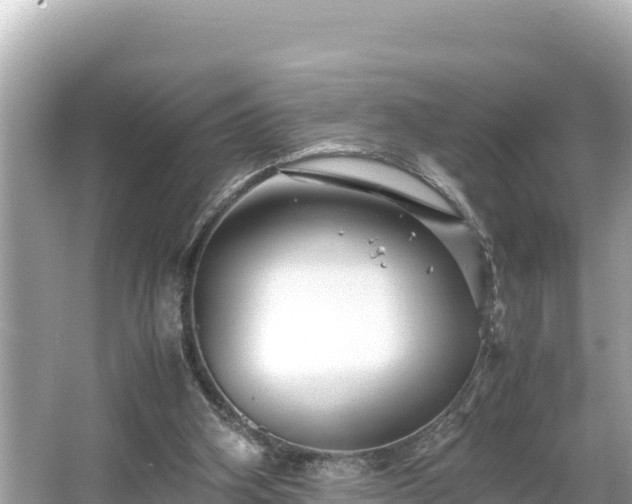 X0000066020106200603101633