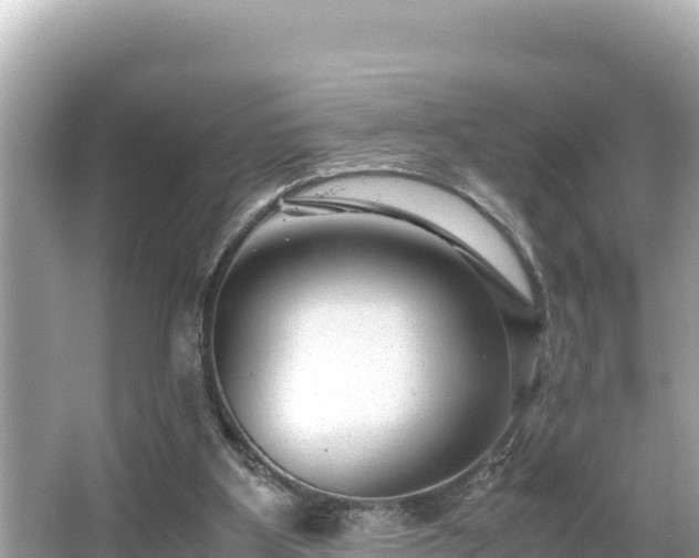 X0000066020107200603101633