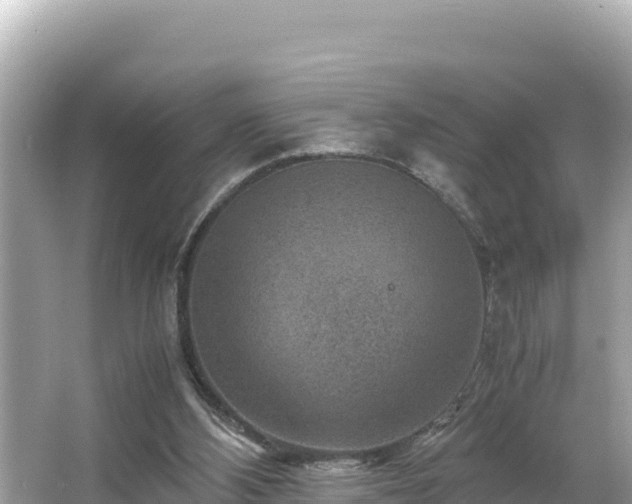 X0000066020108200603101633