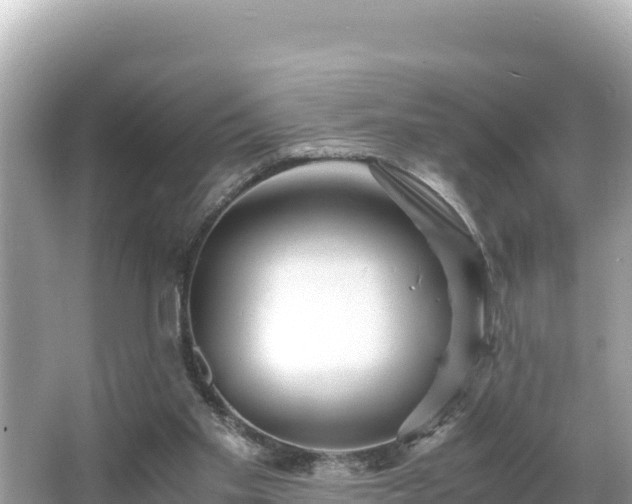 X0000066020109200603101633