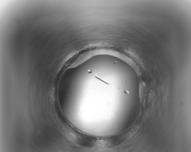 X0000066020111200603101633