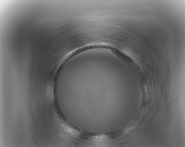 X0000066020112200603101633