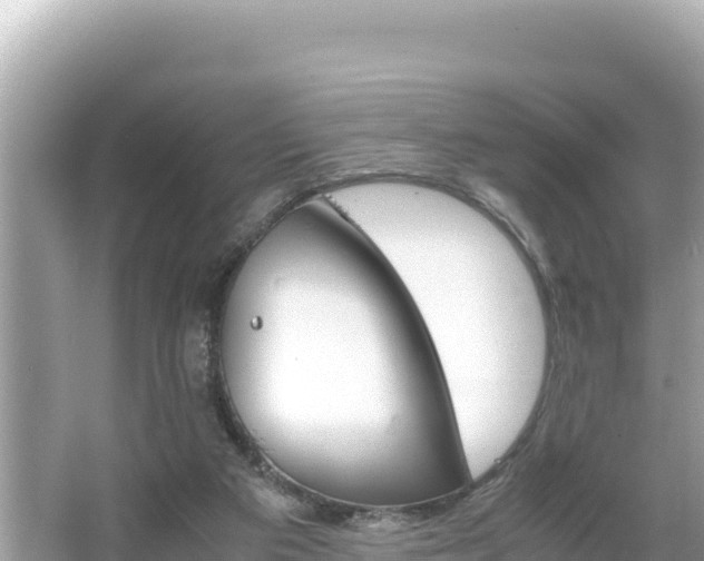 X0000066020113200603101633