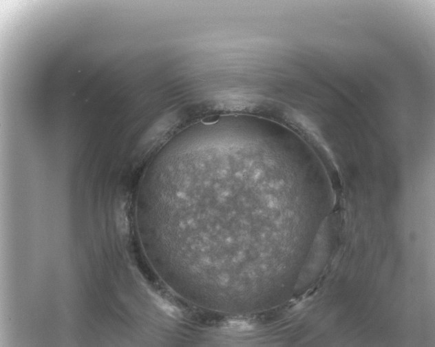 X0000066020114200603101633