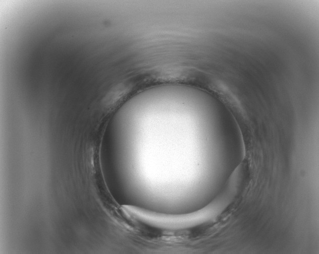 X0000066020115200603101633