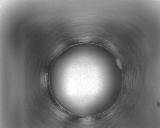 X0000066020118200603101633