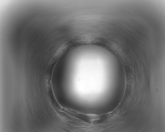 X0000066020119200603101633