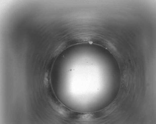 X0000066020122200603101633