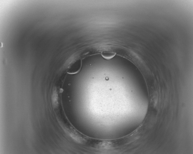 X0000066020124200603101633