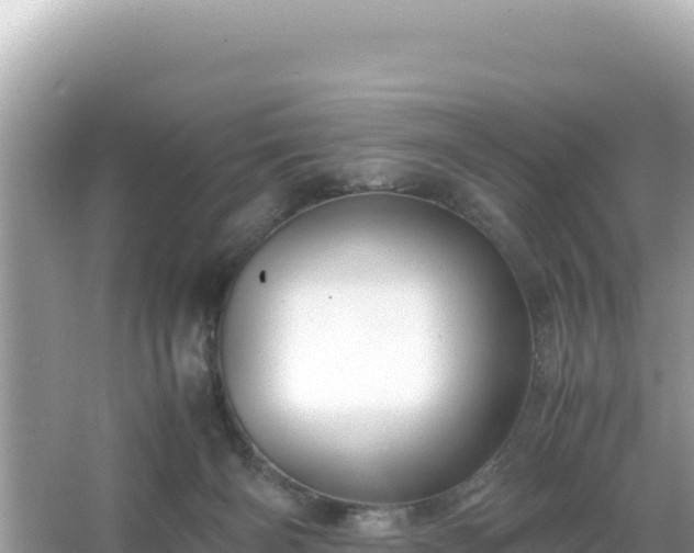 X0000066020126200603101633