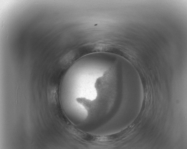 X0000066020127200603101633