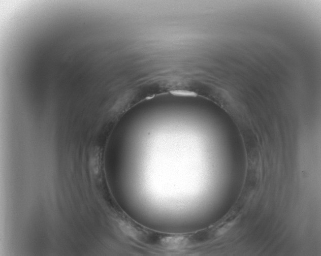 X0000066020133200603101632